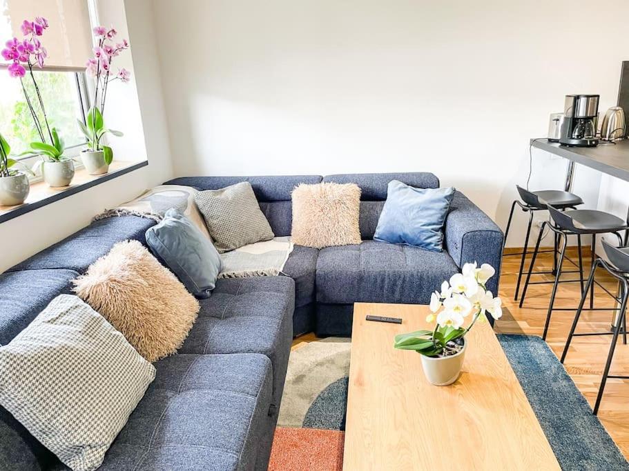 Appartement Cote Jardin - Centre อาล็องซง ภายนอก รูปภาพ